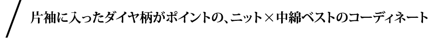 片袖に入ったダイヤ柄がポイントの、ニット×中綿ベストのコーディネート。