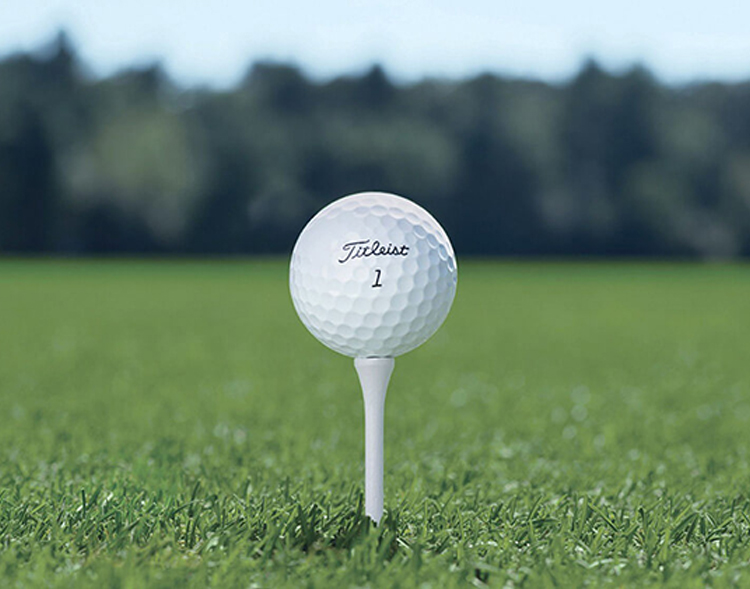 ☆A級☆A019【Titleist PRO V1X】24球セット 白 Titleist ロストボール